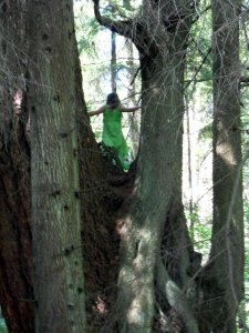 A young woman caught communing with the beautiful trees in Stanley Park.